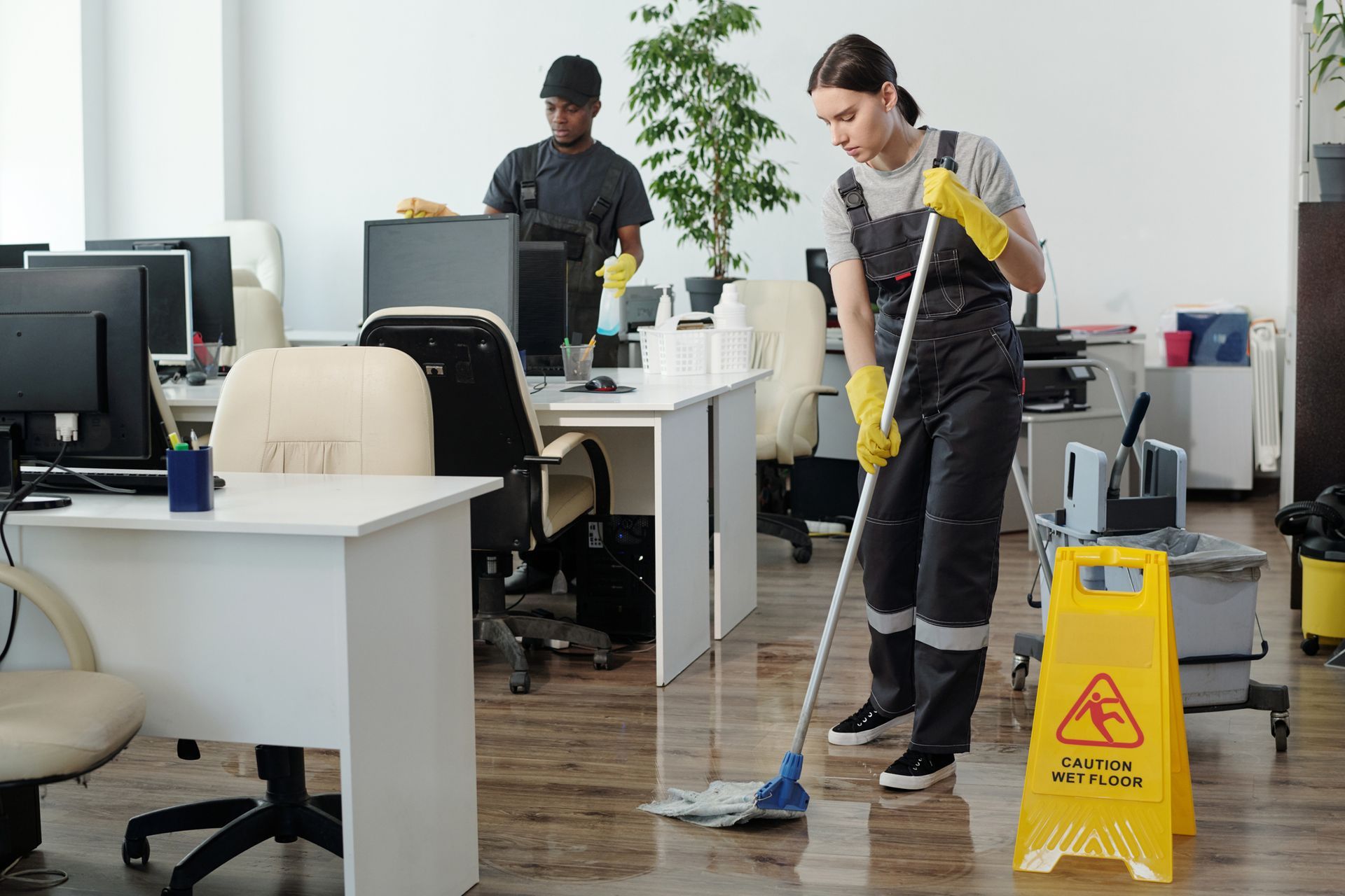 Professional cleaning in action
